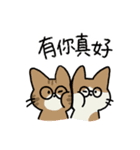 めがねこっこ。(繁体字 ver.)（個別スタンプ：16）