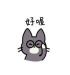 めがねこっこ。(繁体字 ver.)（個別スタンプ：23）