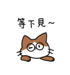 めがねこっこ。(繁体字 ver.)（個別スタンプ：24）