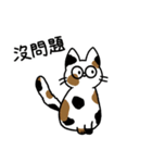 めがねこっこ。(繁体字 ver.)（個別スタンプ：26）