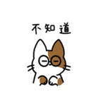 めがねこっこ。(繁体字 ver.)（個別スタンプ：27）