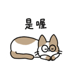 めがねこっこ。(繁体字 ver.)（個別スタンプ：28）