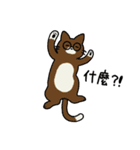 めがねこっこ。(繁体字 ver.)（個別スタンプ：36）