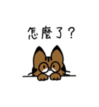 めがねこっこ。(繁体字 ver.)（個別スタンプ：38）