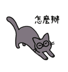 めがねこっこ。(繁体字 ver.)（個別スタンプ：40）