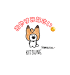 シュナちゃんLINEスタンプ（個別スタンプ：6）