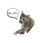 ぎゃと愉快な仲間たち（個別スタンプ：2）