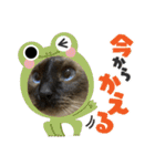 ぎゃと愉快な仲間たち（個別スタンプ：5）