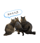 ぎゃと愉快な仲間たち（個別スタンプ：10）