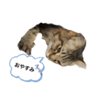 ぎゃと愉快な仲間たち（個別スタンプ：16）