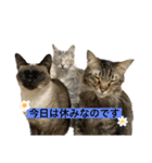 ぎゃと愉快な仲間たち（個別スタンプ：22）
