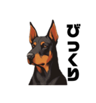 ドーベルマンスタンプ Doberman（個別スタンプ：11）