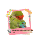 うちのbirdたち3（個別スタンプ：1）