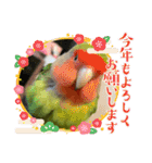 うちのbirdたち3（個別スタンプ：22）