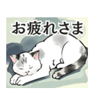 猫イラストのスタンプ4（個別スタンプ：6）