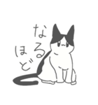 センたゃスタンプ2（個別スタンプ：15）