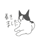 センたゃスタンプ2（個別スタンプ：36）