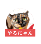 とびこスタンプ2（個別スタンプ：9）