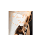 とびこスタンプ2（個別スタンプ：15）
