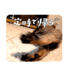 とびこスタンプ2（個別スタンプ：18）