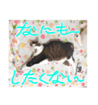 とびこスタンプ2（個別スタンプ：20）