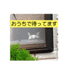 とびこスタンプ2（個別スタンプ：22）