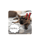 とびこスタンプ2（個別スタンプ：34）