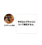 とびこスタンプ2（個別スタンプ：40）