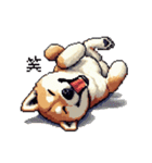 ドット絵 柴犬 定番2 日常会話（個別スタンプ：2）