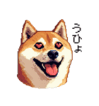 ドット絵 柴犬 定番2 日常会話（個別スタンプ：7）