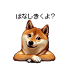 ドット絵 柴犬 定番2 日常会話（個別スタンプ：8）