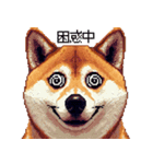 ドット絵 柴犬 定番2 日常会話（個別スタンプ：15）