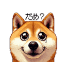 ドット絵 柴犬 定番2 日常会話（個別スタンプ：17）