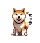 ドット絵 柴犬 定番2 日常会話（個別スタンプ：18）