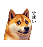 ドット絵 柴犬 定番2 日常会話（個別スタンプ：19）