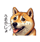 ドット絵 柴犬 定番2 日常会話（個別スタンプ：20）