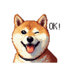 ドット絵 柴犬 定番2 日常会話（個別スタンプ：21）