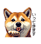 ドット絵 柴犬 定番2 日常会話（個別スタンプ：24）