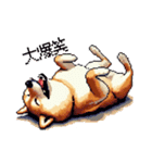 ドット絵 柴犬 定番2 日常会話（個別スタンプ：25）