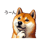 ドット絵 柴犬 定番2 日常会話（個別スタンプ：27）