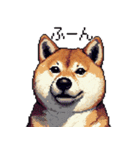 ドット絵 柴犬 定番2 日常会話（個別スタンプ：28）