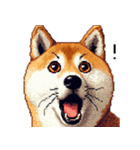 ドット絵 柴犬 定番2 日常会話（個別スタンプ：30）