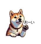 ドット絵 柴犬 定番2 日常会話（個別スタンプ：31）