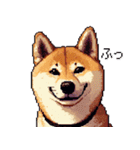 ドット絵 柴犬 定番2 日常会話（個別スタンプ：33）