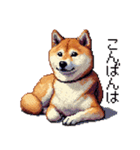 ドット絵 柴犬 定番2 日常会話（個別スタンプ：35）