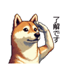 ドット絵 柴犬 定番2 日常会話（個別スタンプ：37）