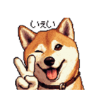 ドット絵 柴犬 定番2 日常会話（個別スタンプ：38）