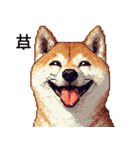 ドット絵 柴犬 定番2 日常会話（個別スタンプ：39）