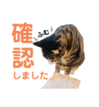 かぎさんと紫苑(改)（個別スタンプ：9）
