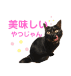 かぎさんと紫苑(改)（個別スタンプ：16）